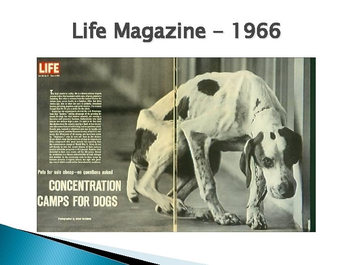 Life Magazine - 1966 