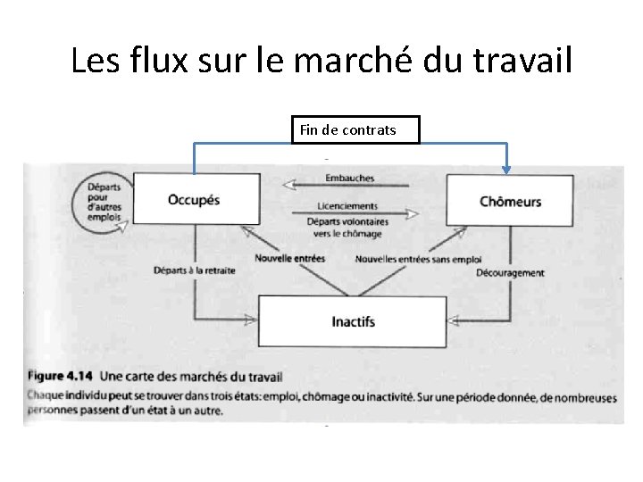 Les flux sur le marché du travail Fin de contrats 