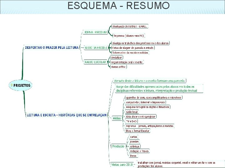 ESQUEMA - RESUMO 