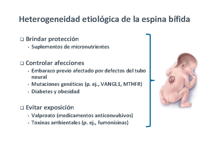 Heterogeneidad etiológica de la espina bífida q Brindar protección • Suplementos de micronutrientes q Heterogeneidad etiológica de la espina bífida q Brindar protección • Suplementos de micronutrientes q