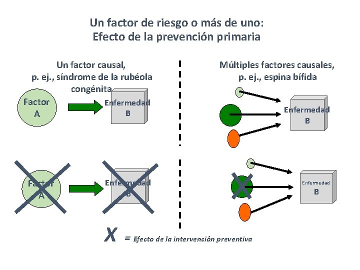 Un factor de riesgo o más de uno: Efecto de la prevención primaria Un Un factor de riesgo o más de uno: Efecto de la prevención primaria Un