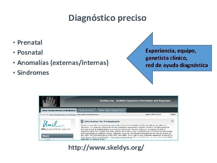 Diagnóstico preciso Prenatal • Posnatal • Anomalías (externas/internas) • Síndromes • http: //www. skeldys. Diagnóstico preciso Prenatal • Posnatal • Anomalías (externas/internas) • Síndromes • http: //www. skeldys.