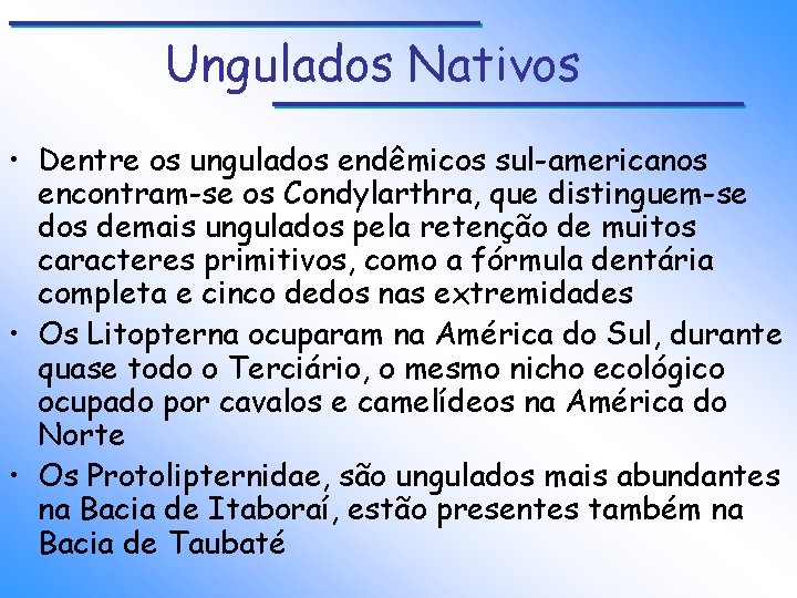 Ungulados Nativos • Dentre os ungulados endêmicos sul-americanos encontram-se os Condylarthra, que distinguem-se dos