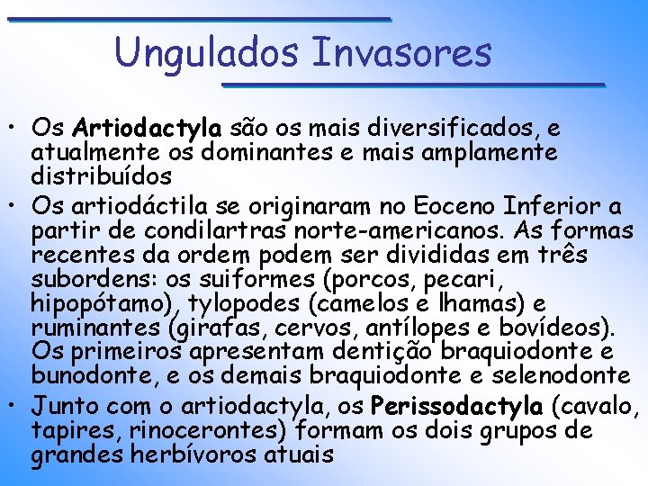 Ungulados Invasores • Os Artiodactyla são os mais diversificados, e atualmente os dominantes e