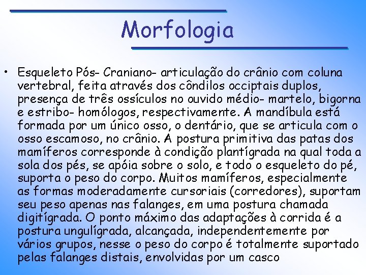 Morfologia • Esqueleto Pós- Craniano- articulação do crânio com coluna vertebral, feita através dos