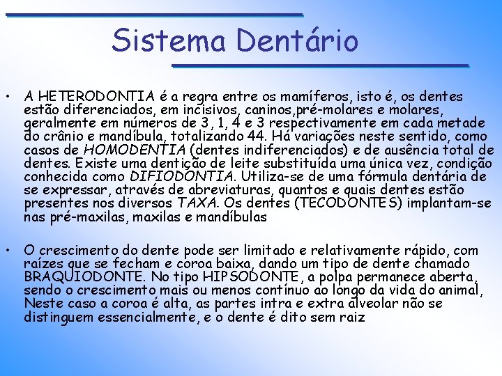 Sistema Dentário • A HETERODONTIA é a regra entre os mamíferos, isto é, os