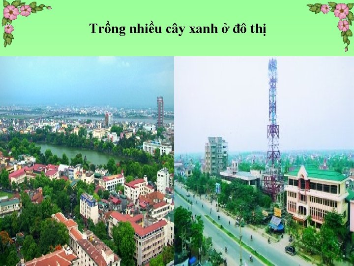 Trồng nhiều cây xanh ở đô thị 