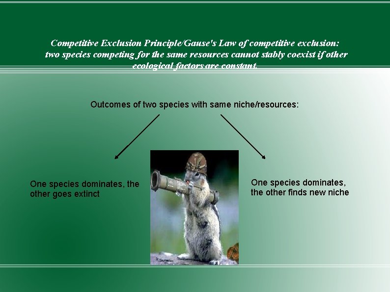 Competitive Exclusion Principle/Gause's Law of competitive exclusion: two species competing for the same resources