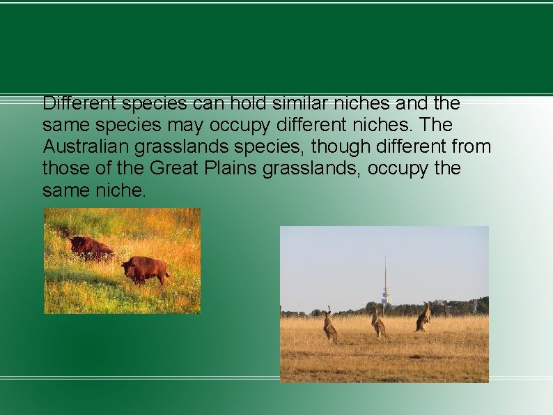 Different species can hold similar niches and the same species may occupy different niches.