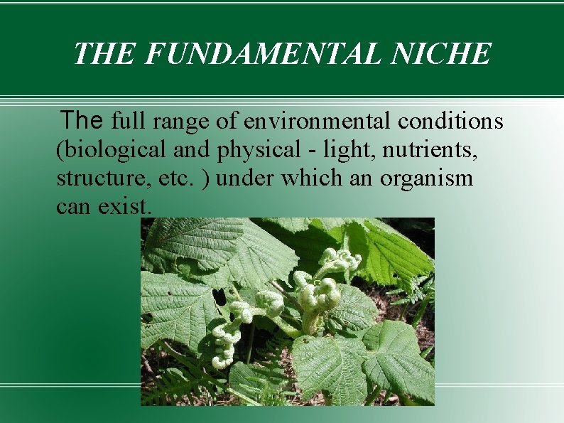 THE FUNDAMENTAL NICHE The full range of environmental conditions (biological and physical - light,