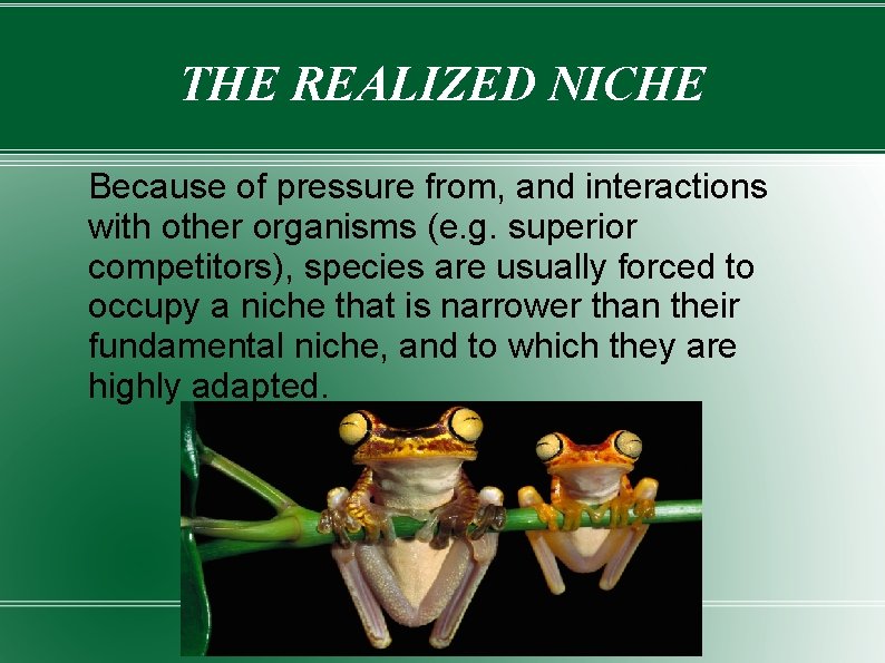 THE REALIZED NICHE Because of pressure from, and interactions with other organisms (e. g.