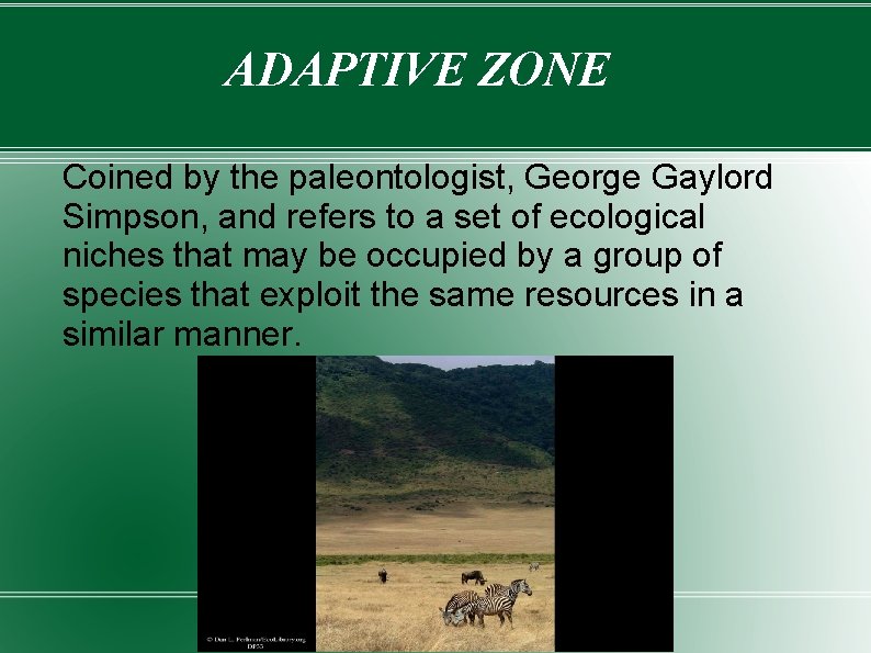 ADAPTIVE ZONE Coined by the paleontologist, George Gaylord Simpson, and refers to a set