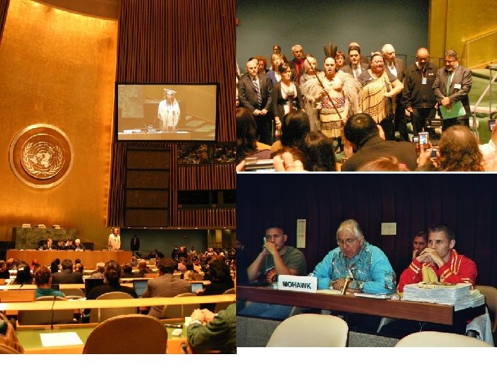 UN Declaration on the Rights of Indigenous Peoples