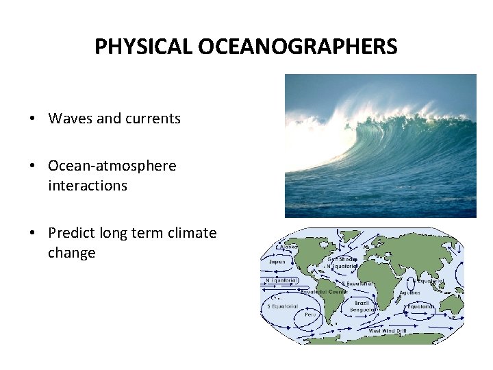 PHYSICAL OCEANOGRAPHERS • Waves and currents • Ocean-atmosphere interactions • Predict long term climate