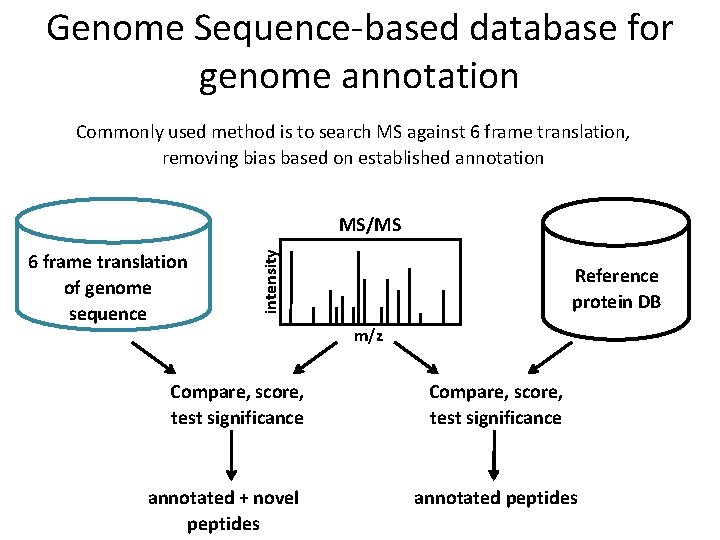 Genome Sequence-based database for genome annotation Commonly used method is to search MS against