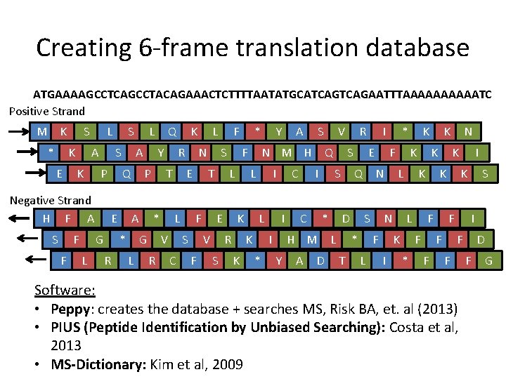 Creating 6 -frame translation database ATGAAAAGCCTCAGCCTACAGAAACTCTTTTAATATGCATCAGAATTTAAAAATC Positive Strand M K * S K E