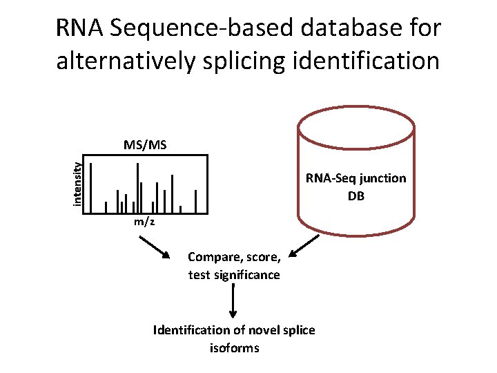 RNA Sequence-based database for alternatively splicing identification intensity MS/MS RNA-Seq junction DB m/z Compare,