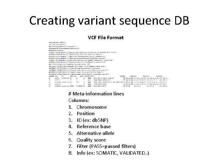 Creating variant sequence DB VCF File Format # Meta-information lines Columns: 1. Chromosome 2.