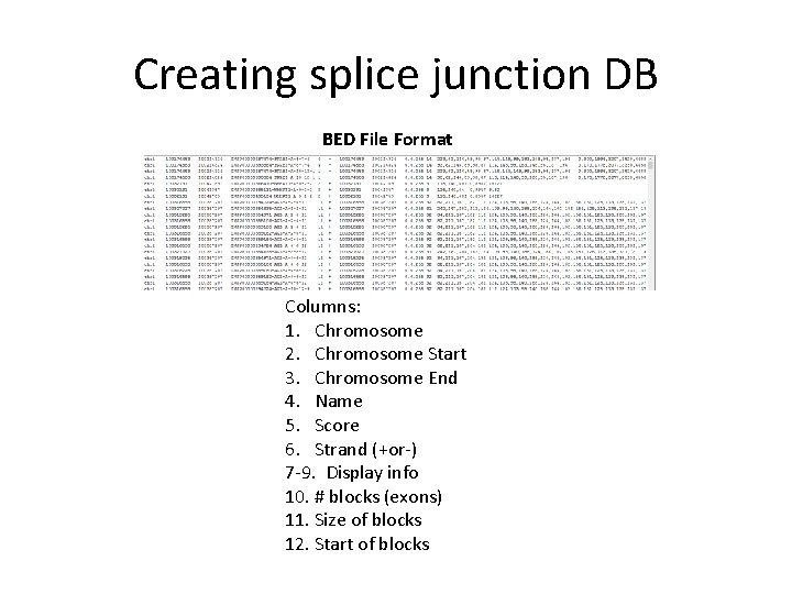 Creating splice junction DB BED File Format Columns: 1. Chromosome 2. Chromosome Start 3.