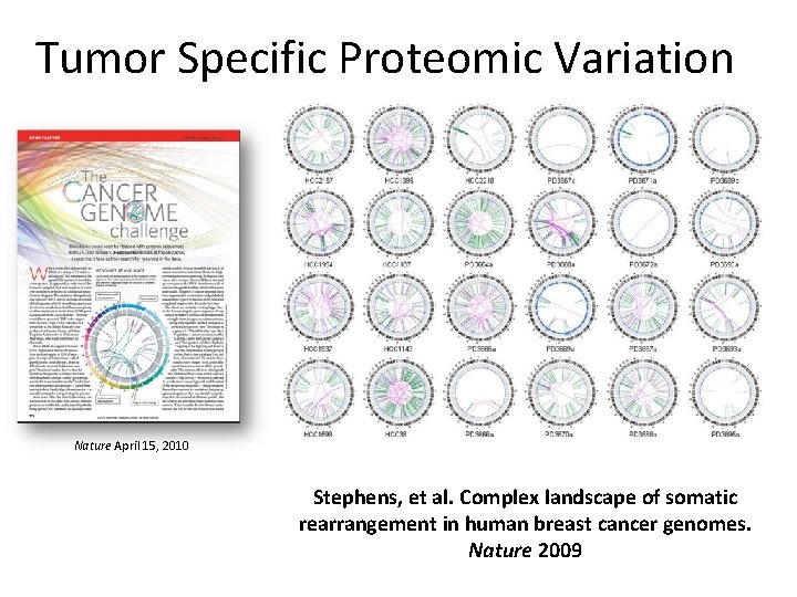 Tumor Specific Proteomic Variation Nature April 15, 2010 Stephens, et al. Complex landscape of
