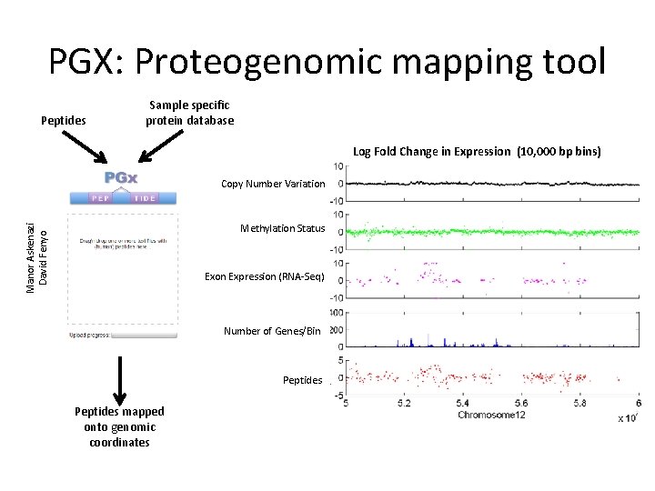 PGX: Proteogenomic mapping tool Peptides Sample specific protein database Log Fold Change in Expression