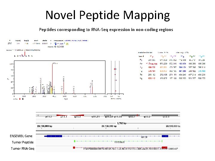 Novel Peptide Mapping Peptides corresponding to RNA-Seq expression in non-coding regions ENSEMBL Gene Tumor