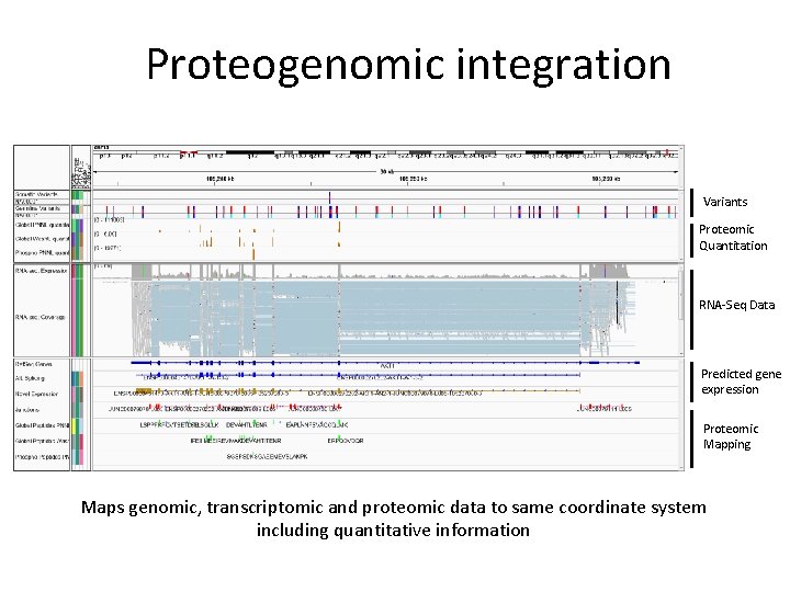 Proteogenomic integration Variants Proteomic Quantitation RNA-Seq Data Predicted gene expression Proteomic Mapping Maps genomic,