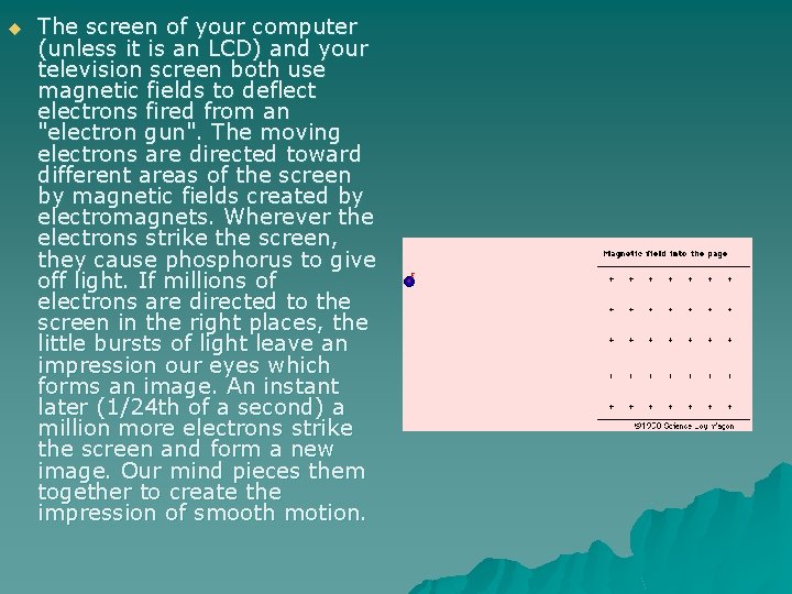 u The screen of your computer (unless it is an LCD) and your television