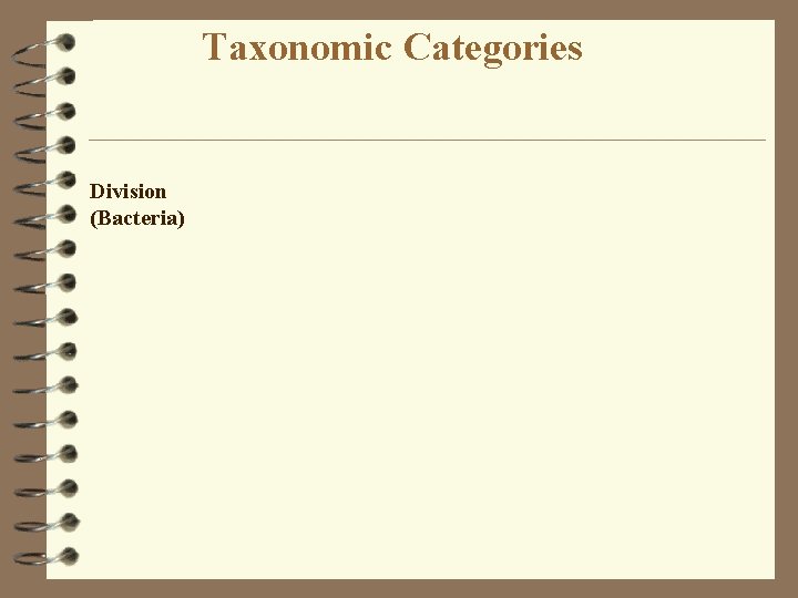 Taxonomic Categories Division (Bacteria) 