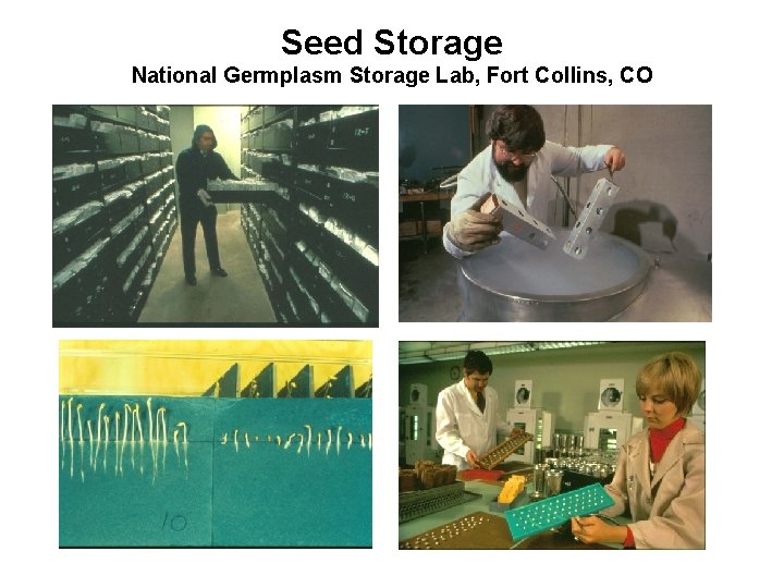 Seed Storage National Germplasm Storage Lab, Fort Collins, CO 