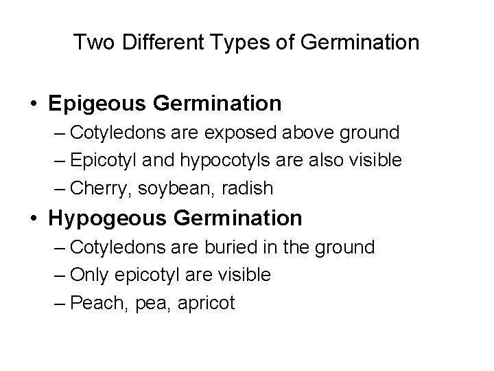 Two Different Types of Germination • Epigeous Germination – Cotyledons are exposed above ground