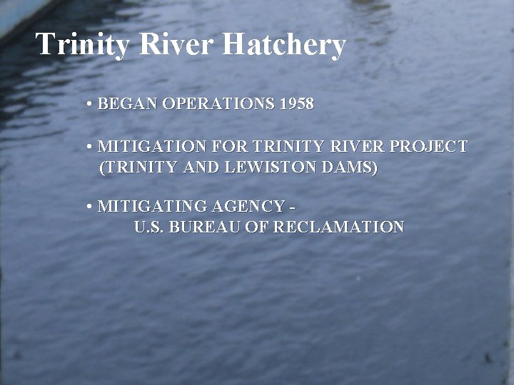 Trinity River Hatchery • BEGAN OPERATIONS 1958 • MITIGATION FOR TRINITY RIVER PROJECT (TRINITY