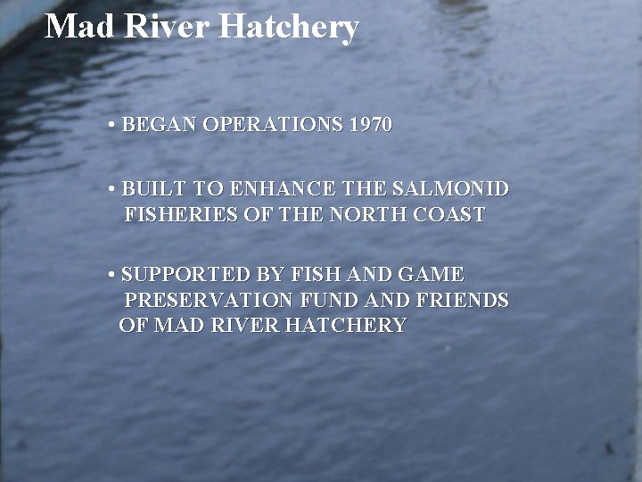 Mad River Hatchery • BEGAN OPERATIONS 1970 • BUILT TO ENHANCE THE SALMONID FISHERIES