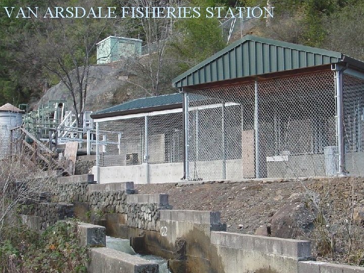 VAN ARSDALE FISHERIES STATION 