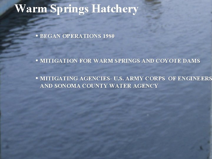 Warm Springs Hatchery • BEGAN OPERATIONS 1980 • MITIGATION FOR WARM SPRINGS AND COYOTE