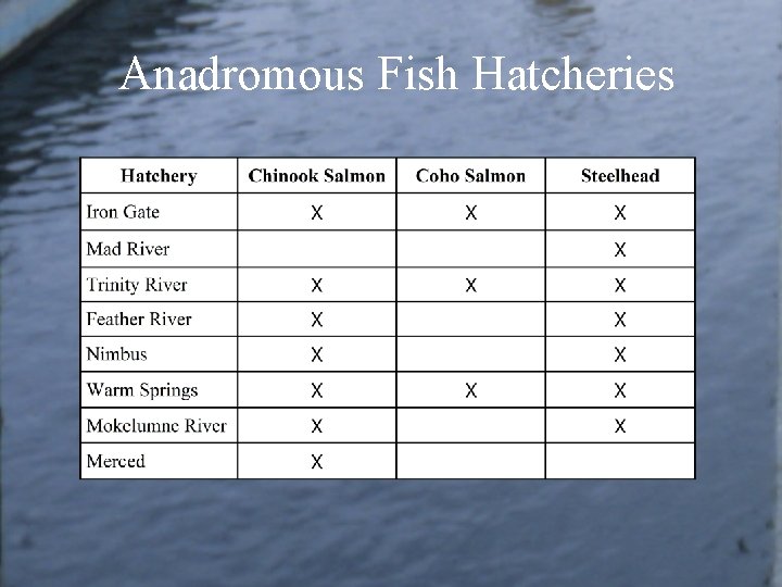 Anadromous Fish Hatcheries 