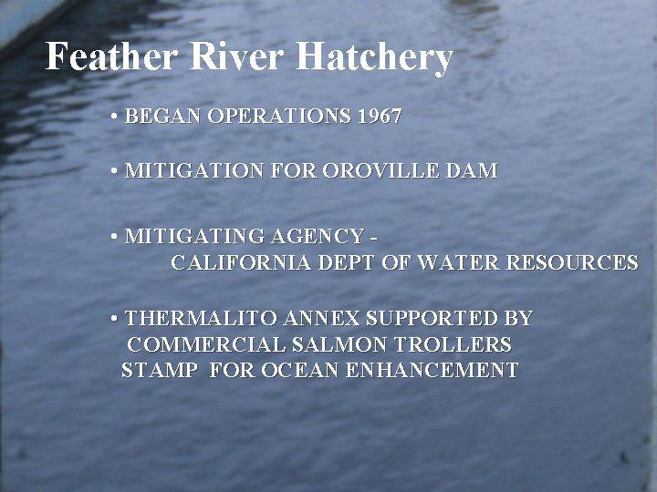 Feather River Hatchery • BEGAN OPERATIONS 1967 • MITIGATION FOR OROVILLE DAM • MITIGATING