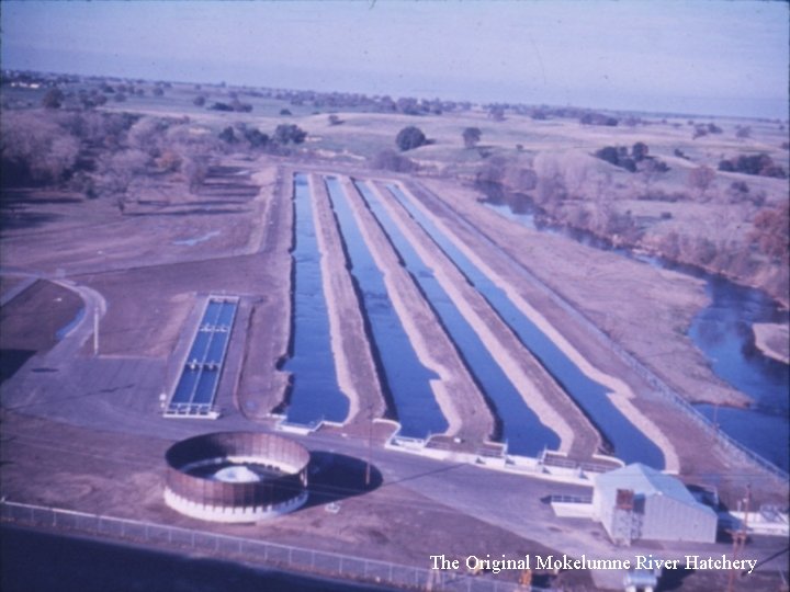 The Original Mokelumne River Hatchery 