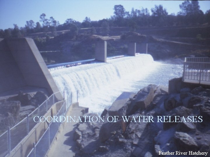 COORDINATION OF WATER RELEASES Feather River Hatchery 