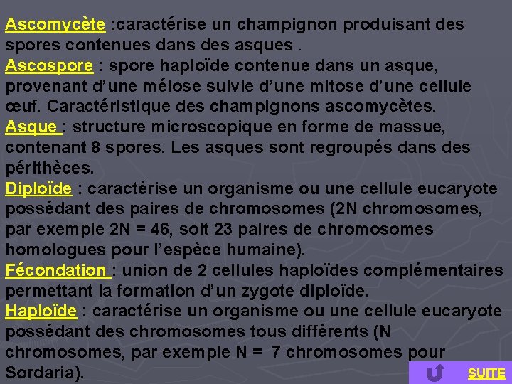 Ascomycète : caractérise un champignon produisant des spores contenues dans des asques. Ascospore :