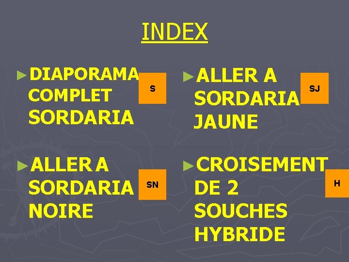 INDEX ►DIAPORAMA COMPLET S SORDARIA ►ALLER A SORDARIA NOIRE ►ALLER A SORDARIA JAUNE SJ