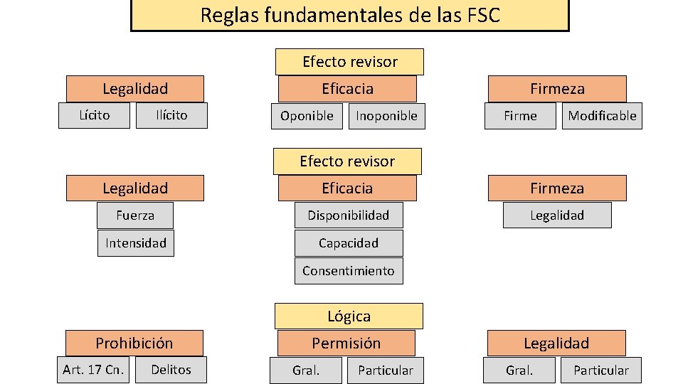 Reglas fundamentales de las FSC Efecto revisor Eficacia Legalidad Lícito Ilícito Oponible Inoponible Firmeza