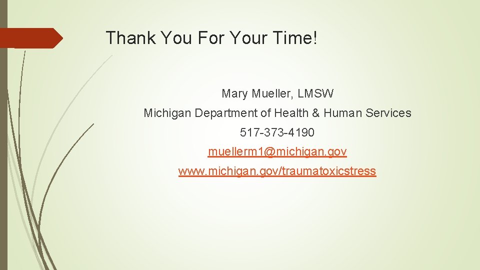 Thank You For Your Time! Mary Mueller, LMSW Michigan Department of Health & Human