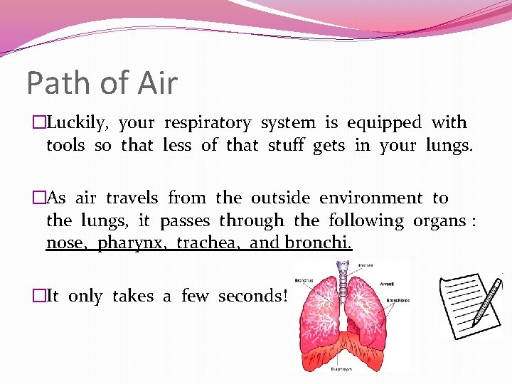 Path of Air �Luckily, your respiratory system is equipped with tools so that less