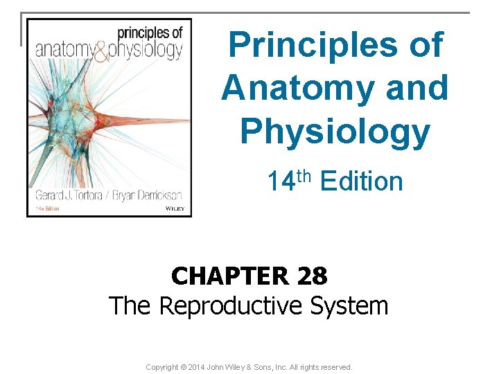 Principles of Anatomy and Physiology 14 th Edition CHAPTER 28 The Reproductive System Copyright
