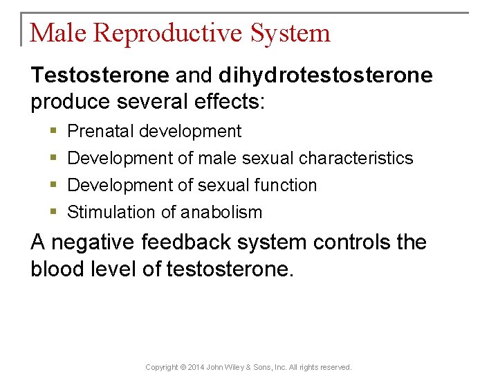 Male Reproductive System Testosterone and dihydrotestosterone produce several effects: § § Prenatal development Development