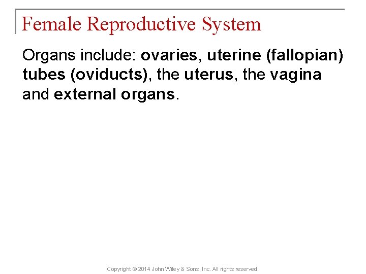 Female Reproductive System Organs include: ovaries, uterine (fallopian) tubes (oviducts), the uterus, the vagina