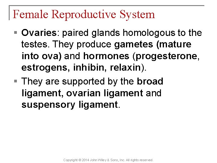Female Reproductive System § Ovaries: paired glands homologous to the testes. They produce gametes