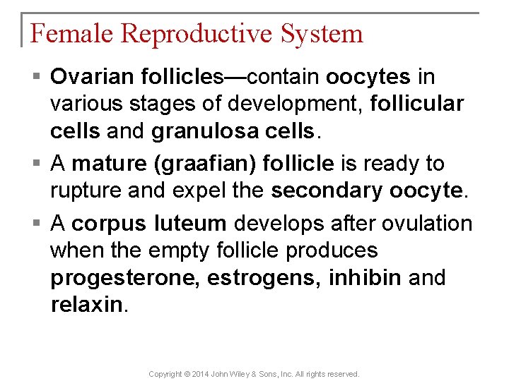 Female Reproductive System § Ovarian follicles—contain oocytes in various stages of development, follicular cells
