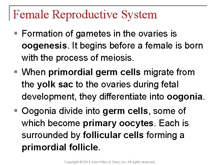 Female Reproductive System § Formation of gametes in the ovaries is oogenesis. It begins